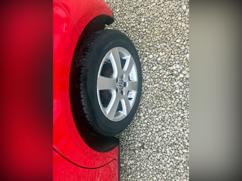 204829870.jpg